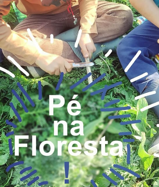 Alma Gitana – Oficinas de Férias Intercalares: Pé na Floresta