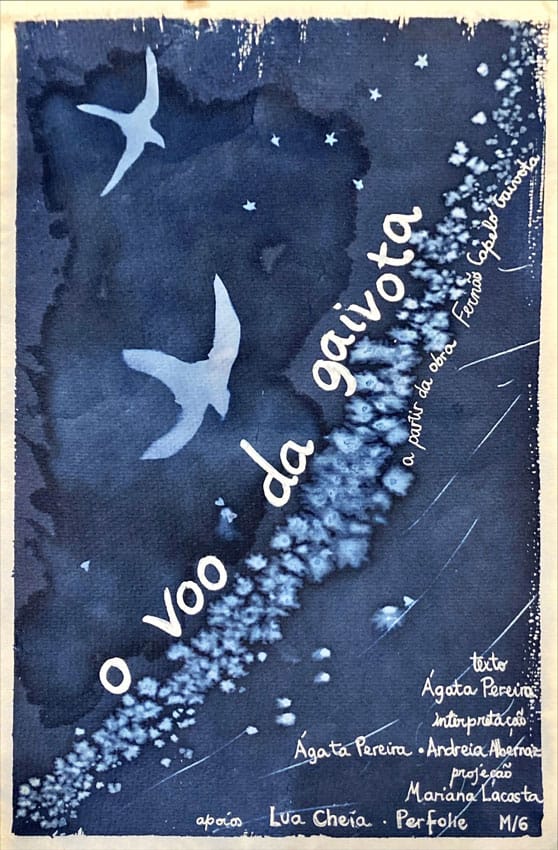 O Voo da gaivota – Conto acrobático & oficina de movimento