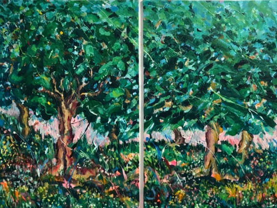 Do coletivo ao individual