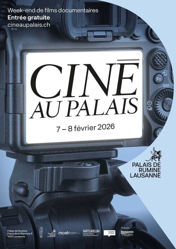 Ciné au Palais 2026