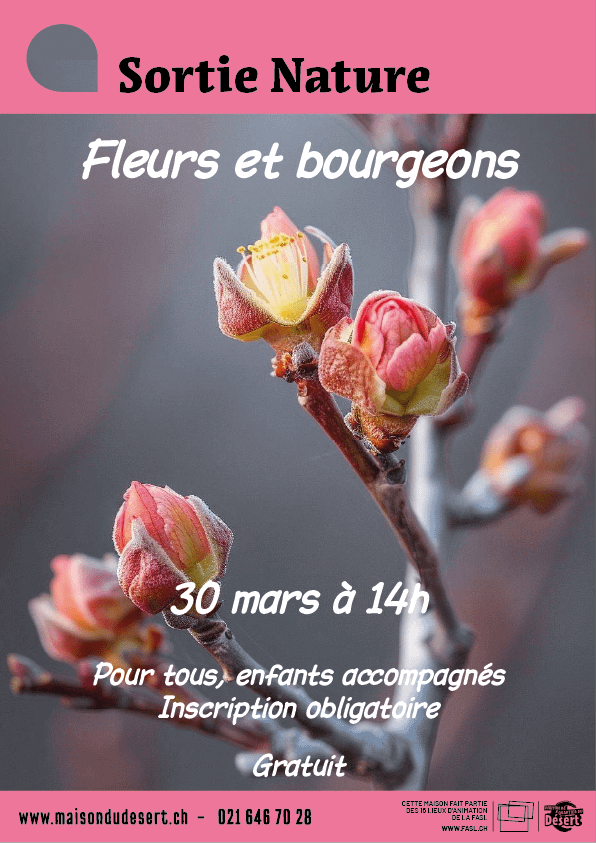 Sortie Nature – Fleurs et bourgeons