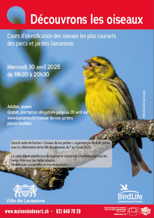 Découvrons les oiseaux