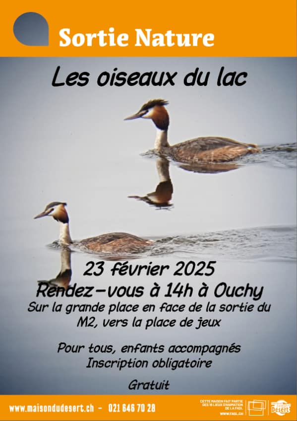 Sortie Nature – Les oiseaux du lac
