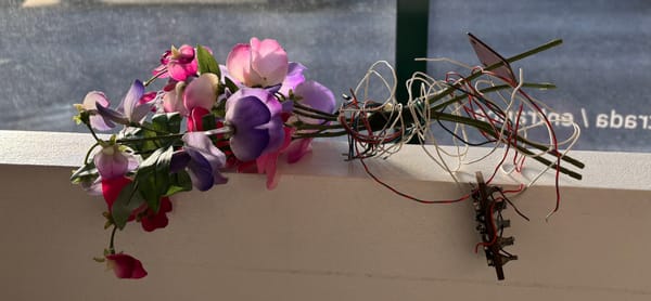 Código Artista – A Arte ambiental