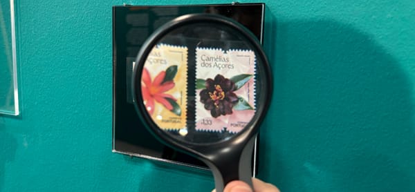 CĂłdigo FamĂlia – O segredo das plantas