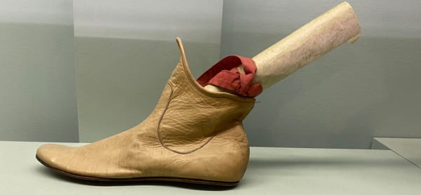 Código Bebé – A árvore gigante