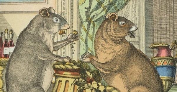 Théâtre d'ombres – Le Rat des villes et le Rat des champs