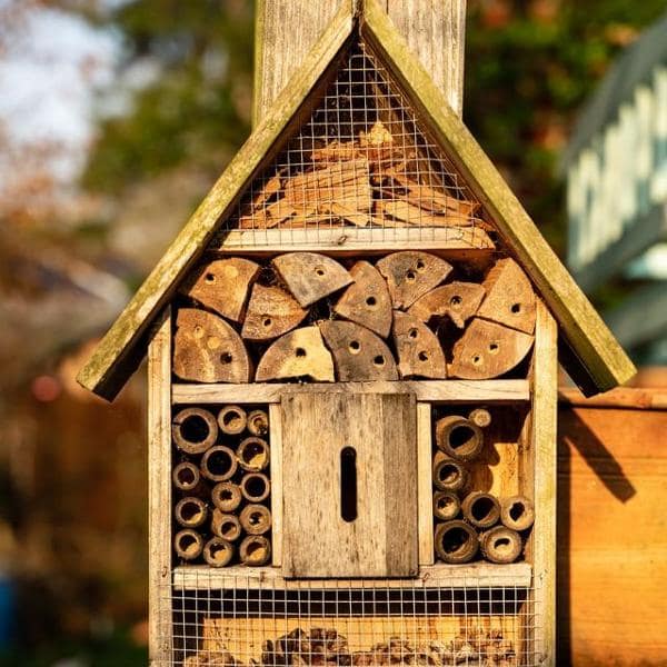Atelier hĂ´tel Ă  insectes