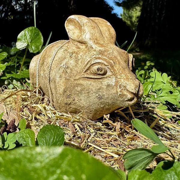 Attrapez-les tous! â Chasse au trĂ©sor dans le parc archĂ©ologique