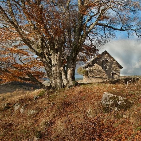 Contes du bon vieux temps