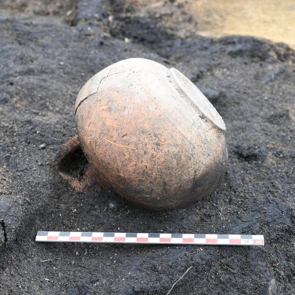 Les mains dans la terre – Fouille archéologique pour enfants