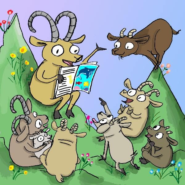 Les Booketins – It's story time!