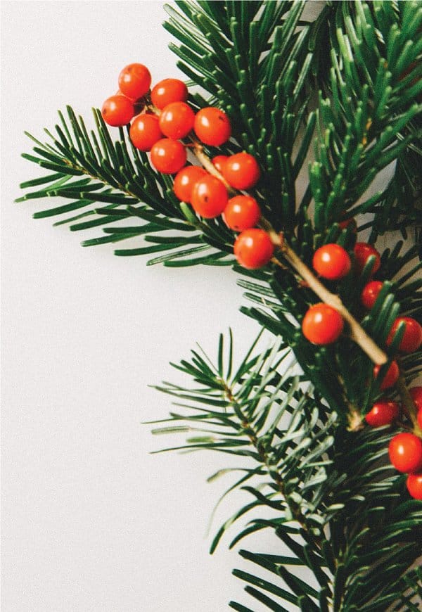 Concerto de Natal OML