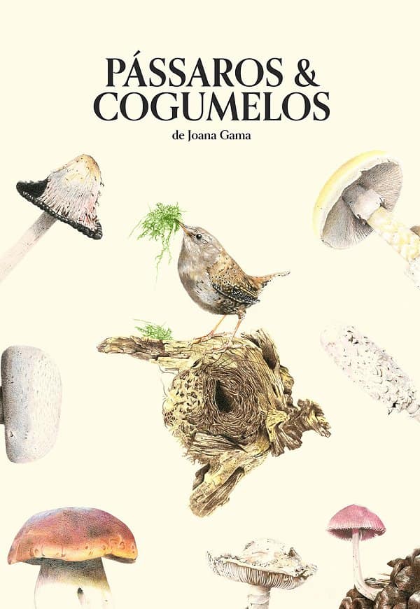 Pássaros e Cogumelos de Joana Gama