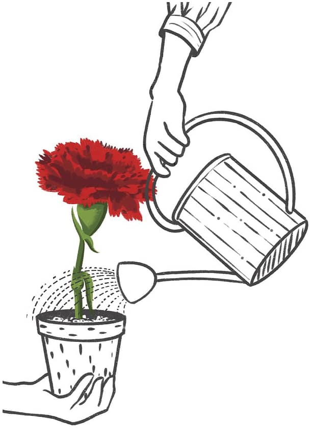 25 de Abril – 50 Anos: Orquestra Metropolitana de Lisboa