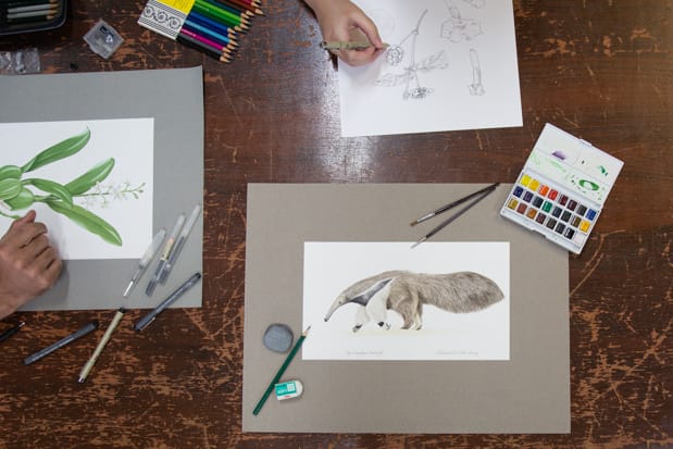 Laboratório – Ilustração Científica