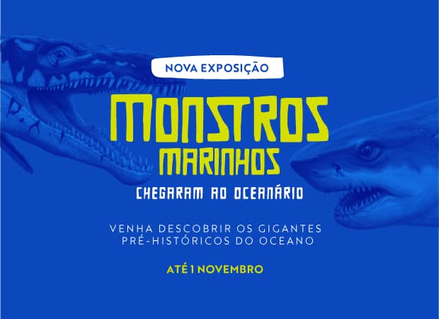 Monstros Marinhos