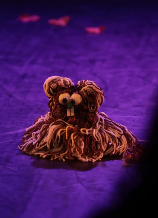 3.ª edição Avenidas Bebé Fest