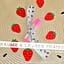 🧘 Atelier cosmĂ©tique enfants – Fabrication Baume Ă  lèvres Ă  la fraise