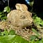 🐰 Attrapez-les tous! – Chasse au trĂ©sor dans le parc archĂ©ologique