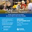 🧒 Ecolint – Portes ouvertes à La Grande Boissière / Open Day at La Grande Boissière