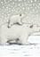 🎵 Plume l’ours polaire – Conte musical