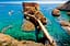 Arquipélago das Berlengas (Peniche)