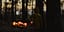 🎃 Passeio Noturno de Trator e Contos Assustadores