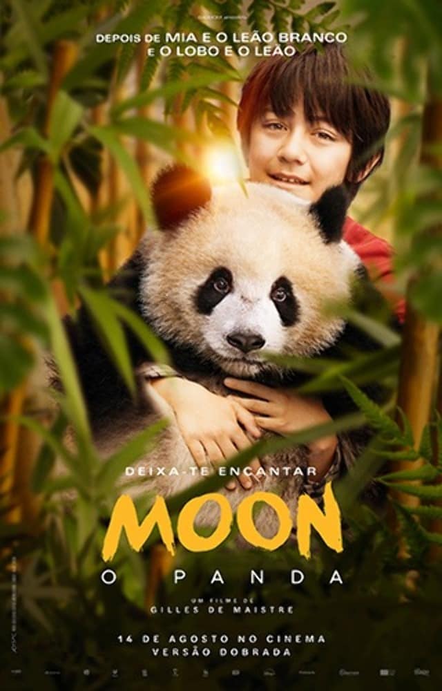 Estreia no cinema de «Moon O Panda» (VP)