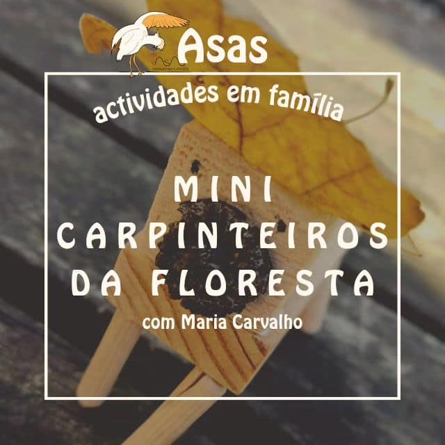 Asas – Os Mini Carpinteiros da Floresta