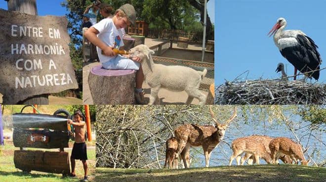 Monte Selvagem (Lavre)