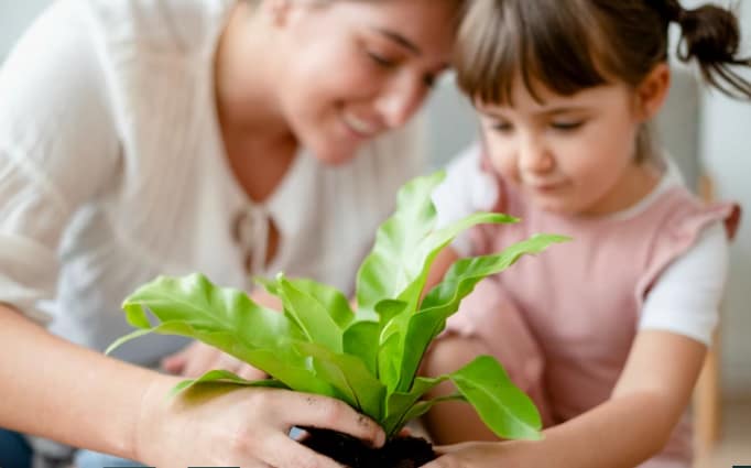 Concert-famille – Atelier de création végétale et concert de sextuor à vent