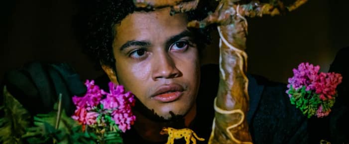 Jacarandá – Universo Paralelo