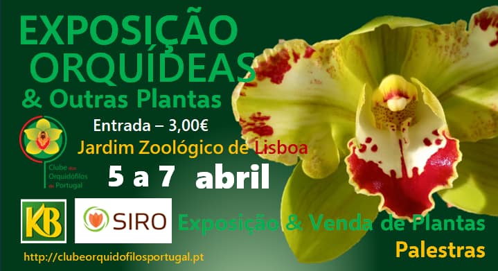 Exposição orquídeas & outras plantas