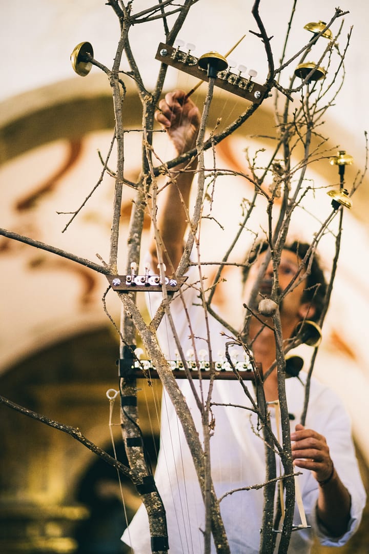 Concerto para uma árvore