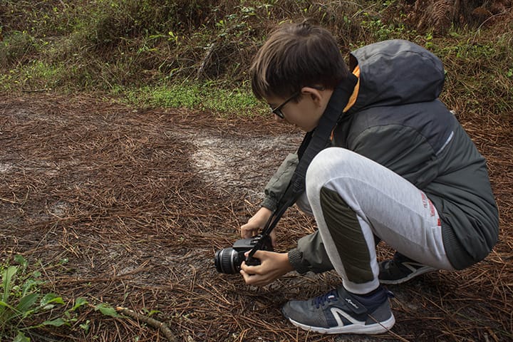 Iniciação à Fotografia de Natureza