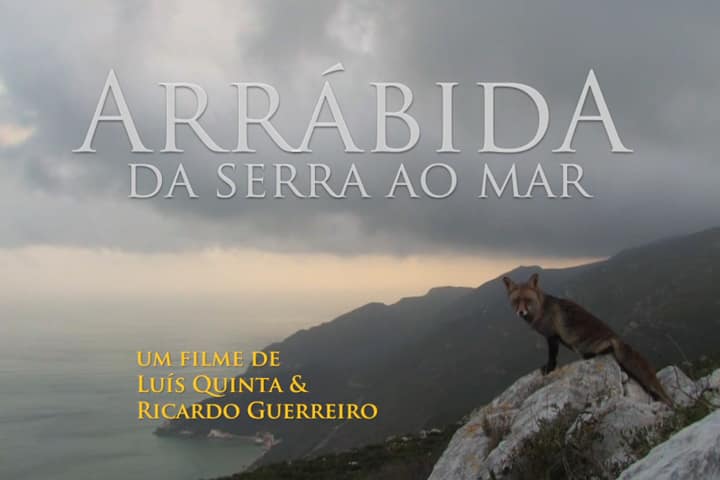 Noites de Cinema no Parque Metropolitano da Biodiversidade – «Arrábida, da Serra ao Mar» (2012)