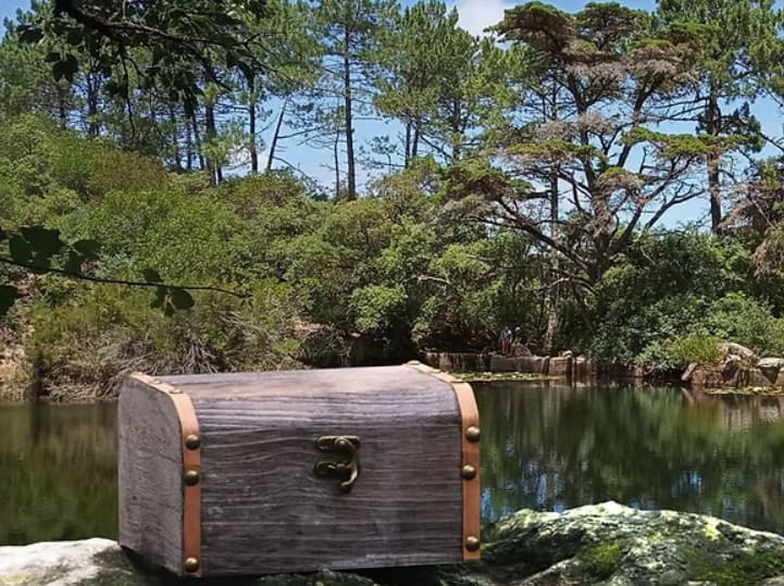 Caça ao Tesouro de Natal na Tapada de Monserrate