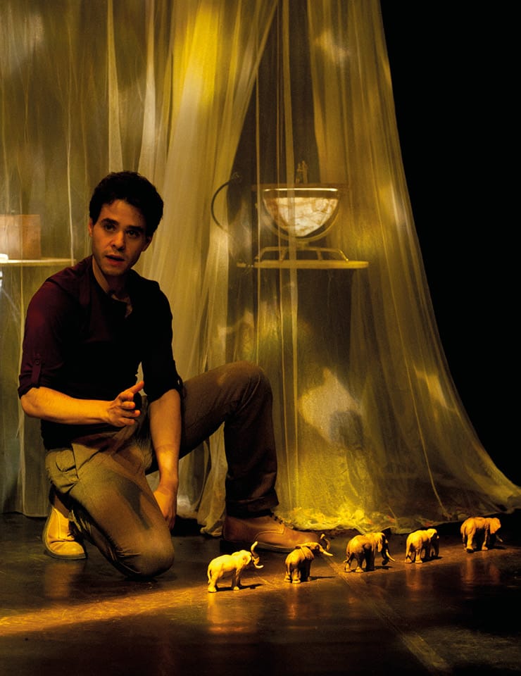 A Caminhada dos Elefantes