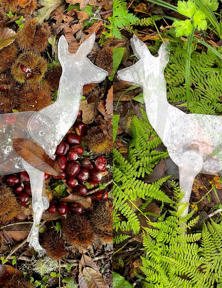 A Corça e a Mãe Terra