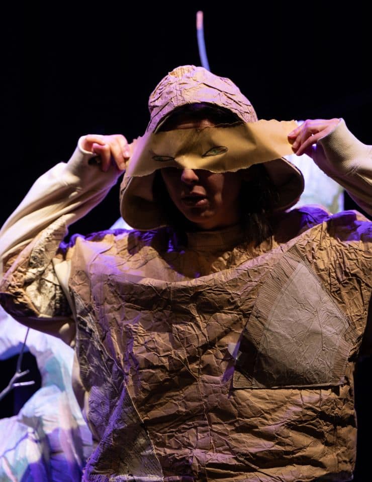 A menina que pintava pássaros