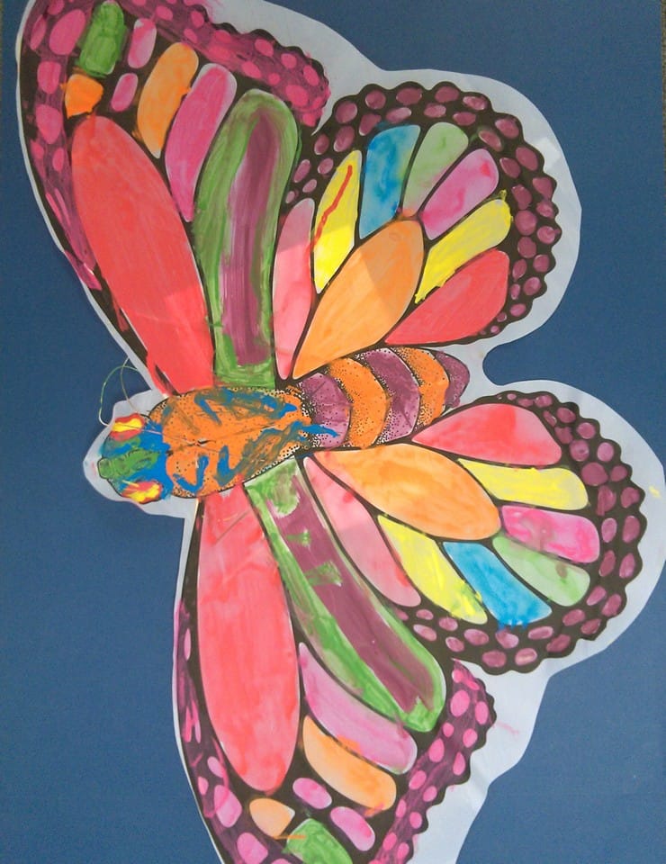 As cores dos papagaios – Observar e sentir para sonhar