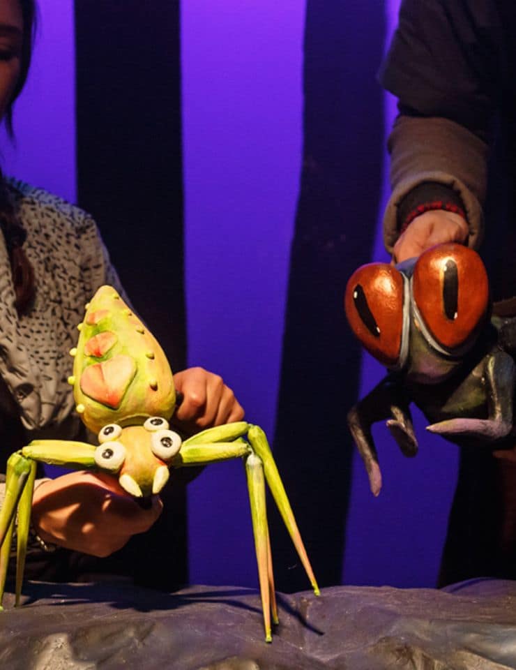 Na Floresta – Marionetas do Porto