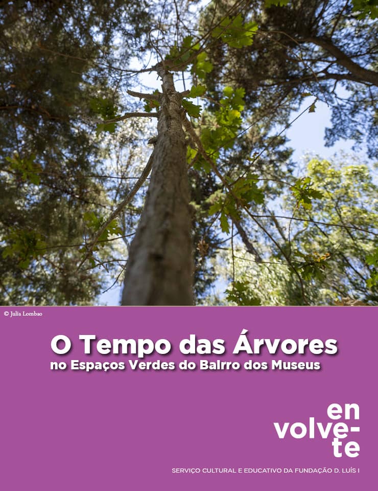 O Tempo das Árvores