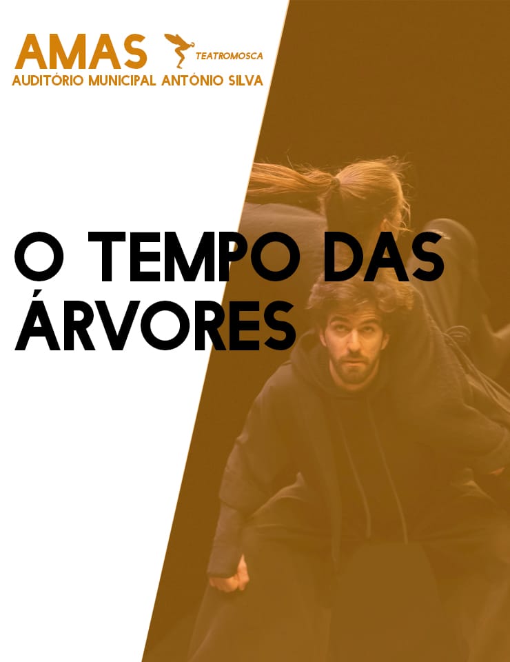 O Tempo das Árvores