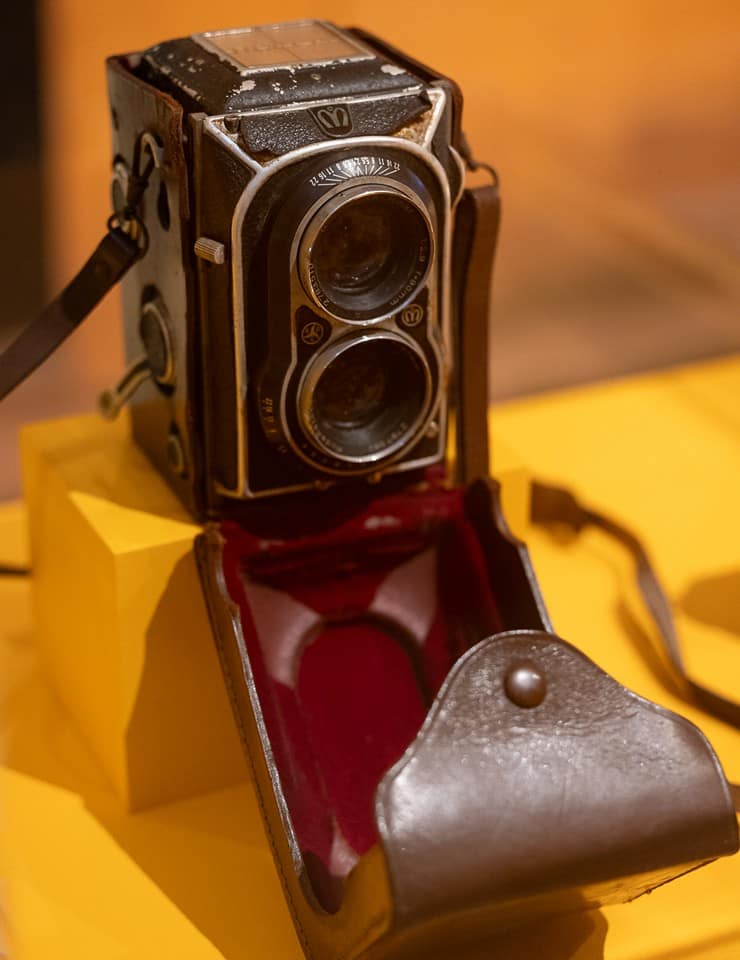 Olhó Passarinho! – Oficina para famílias