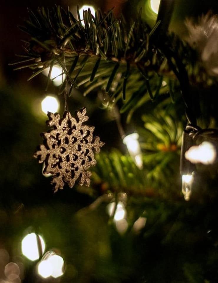 Primeiros passos: Estrelinhas de Natal – Oficina para bebés