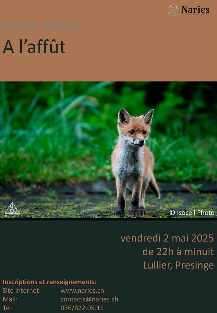 Association NARIES – Sortie Nature: À l’affût