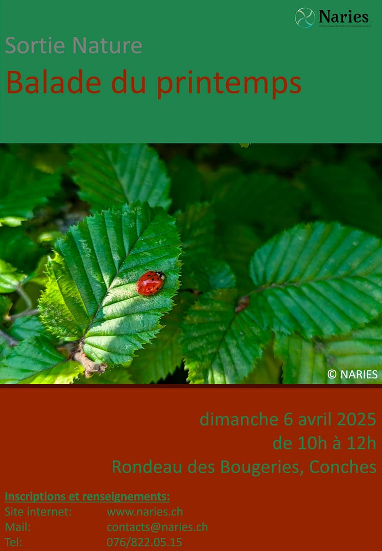 Association NARIES – Sortie Nature: Balade du printemps