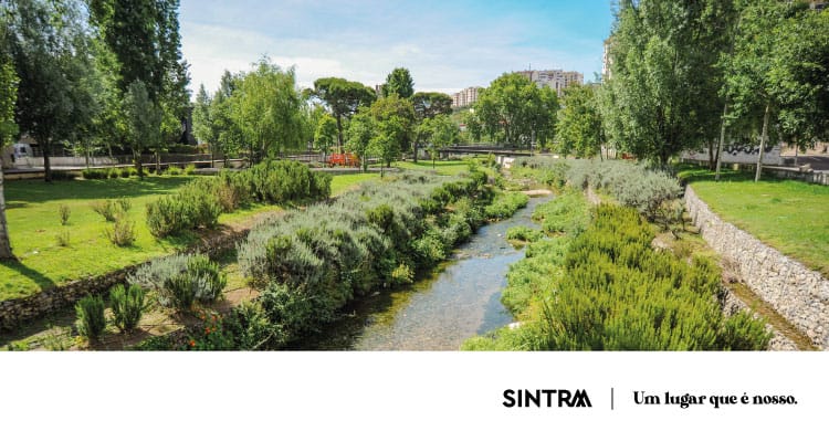 Passeio cultural «Por Terras de D. Domingos Jardo» – Dia Mundial dos Avós